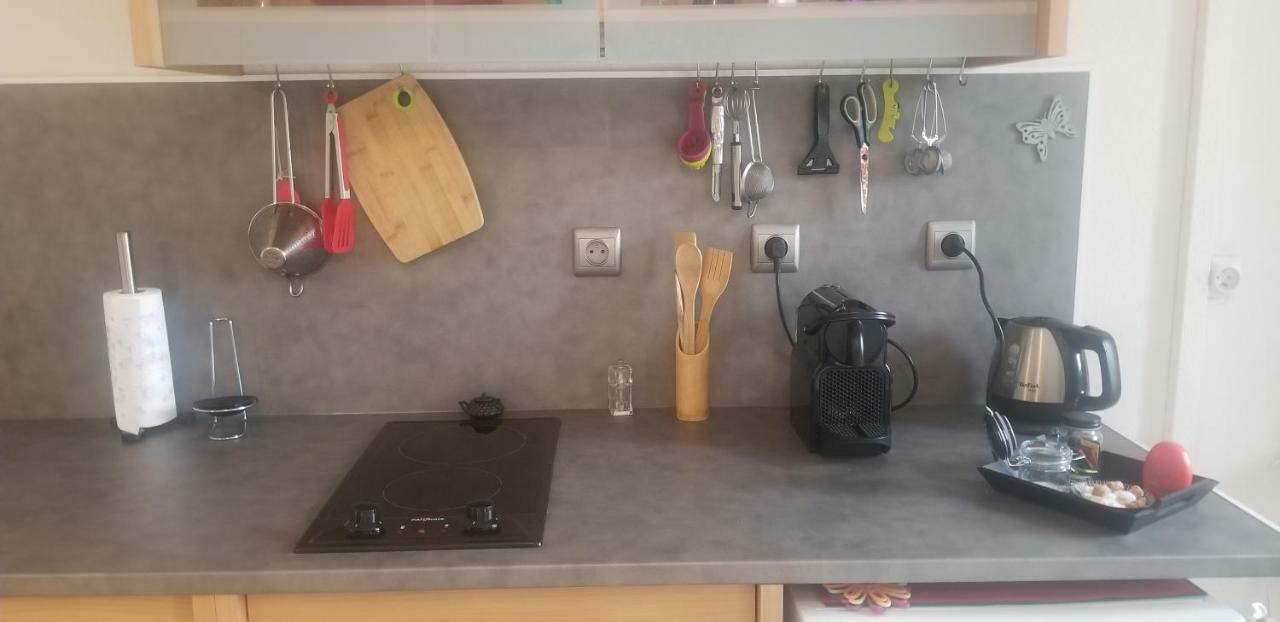 Studio 1 Διαμέρισμα Saint-Martin-la-Plaine Εξωτερικό φωτογραφία