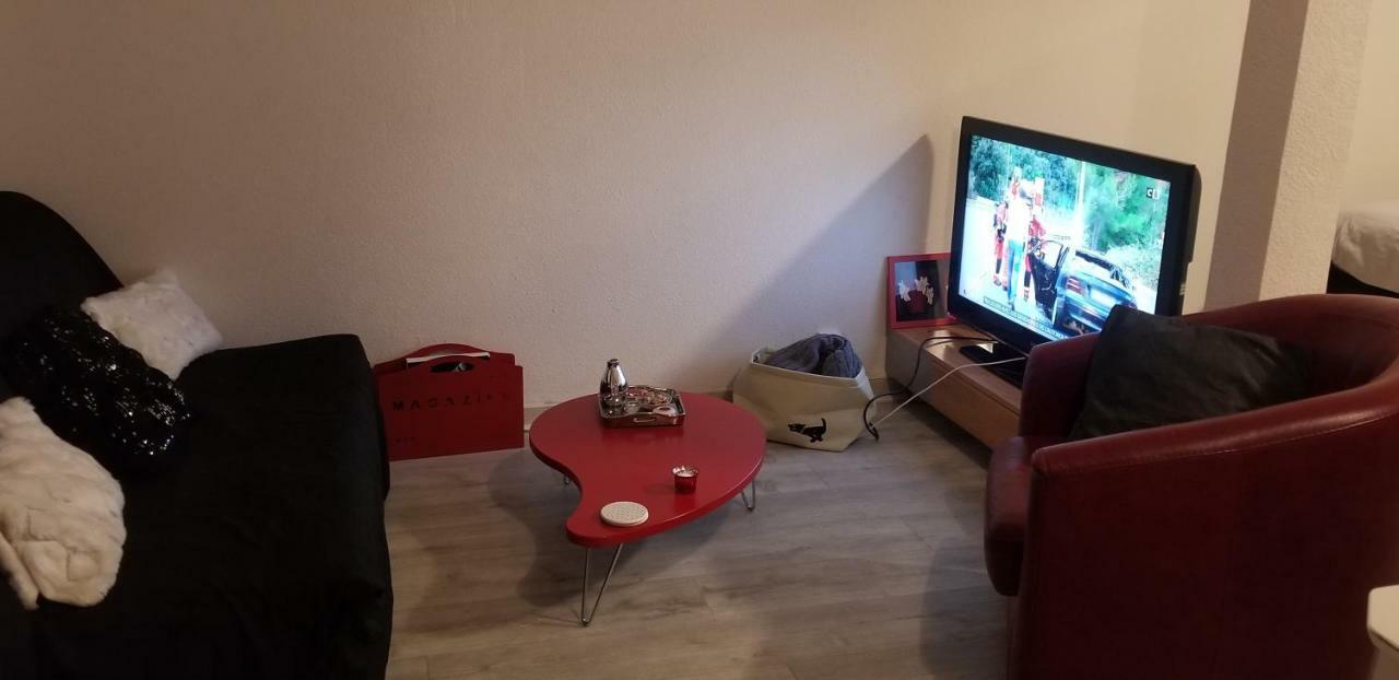 Studio 1 Διαμέρισμα Saint-Martin-la-Plaine Εξωτερικό φωτογραφία